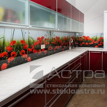 Кухонные фартуки (скинали) ф56 Новороссийск